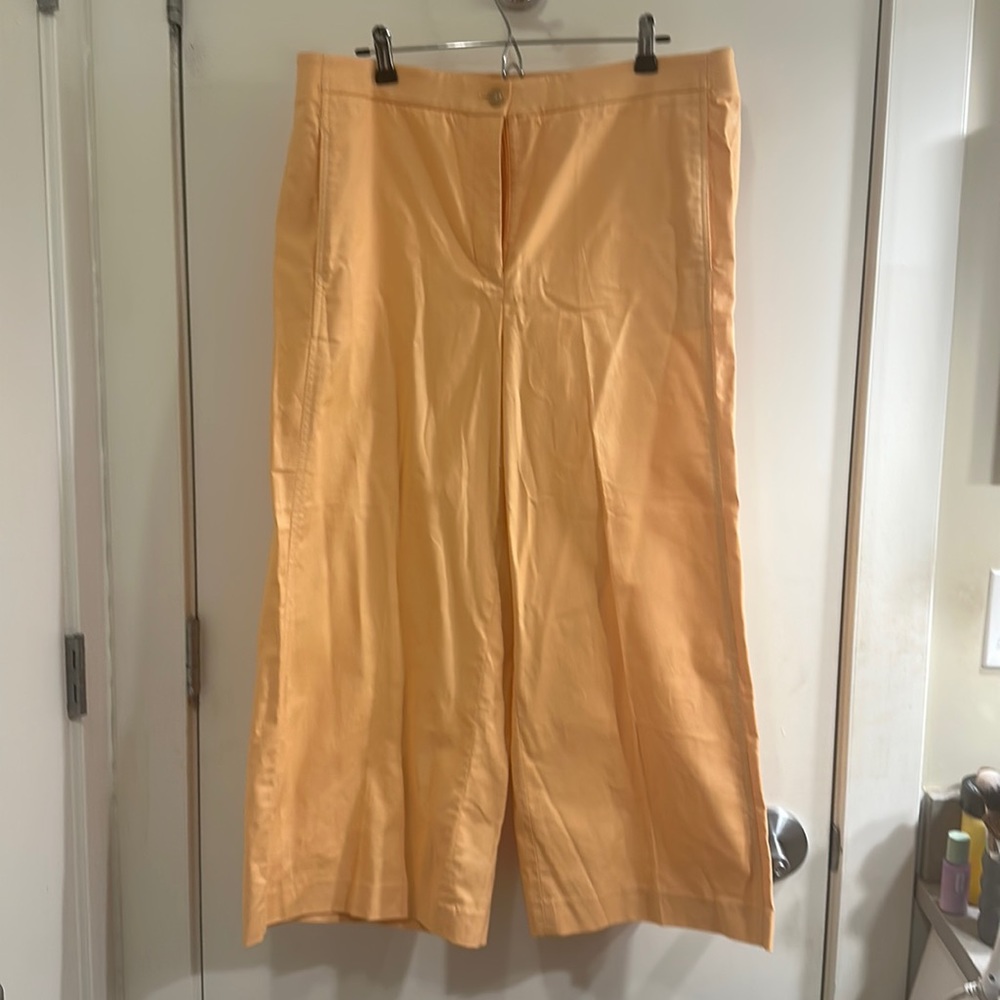 - Ann Taylor Orange Marina High Rise Wide Leg Dress Pants, 14